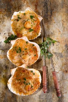 Presentation of scallops au gratin baked with parsley