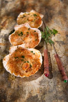 Presentation of scallops au gratin baked with parsley