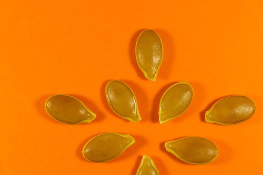 Radiant goliath pumpkin seed layout design on a vibrant orange background, South Africa