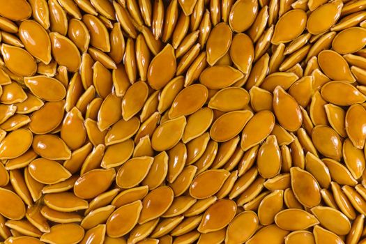 Fresh organic moist goliath pumpkin seeds full frame abstract, South Africa