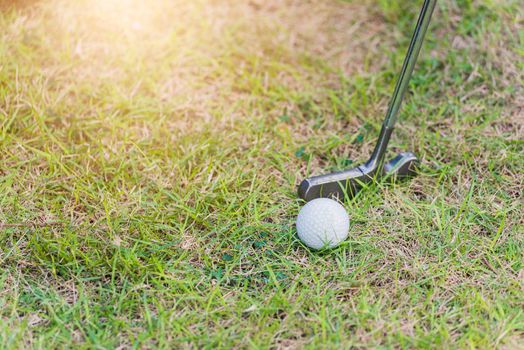 Closeup golf club and a white golf ball in the grass ready to the driver in tournament, outdoor sport