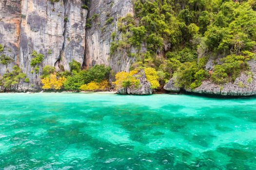 Monkey bay in Phi Phi island . Phuket . Thailand .