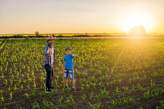 Father and son are standing in their growing corn field. They are happy because of successful sowing.