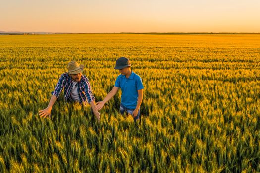 Father and son are standing in their growing wheat field. Father is teaching his son about agriculture.