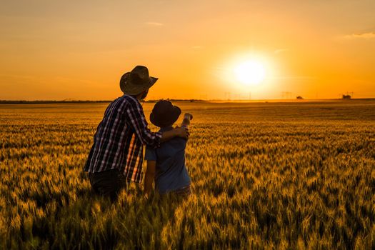 Father and son are standing in their growing wheat field. They are happy because of successful sowing and enjoying sunset.