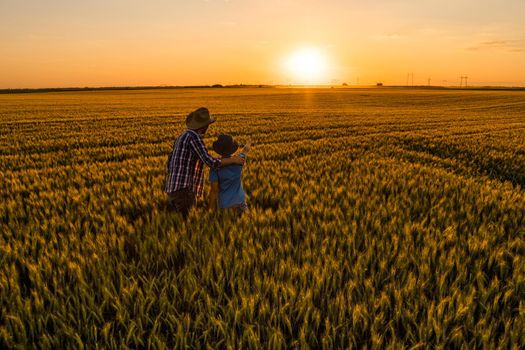 Father and son are standing in their growing wheat field. They are happy because of successful sowing and enjoying sunset.