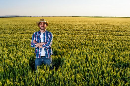 Farmer is standing in his growing wheat field. He is happy because of successful sowing.