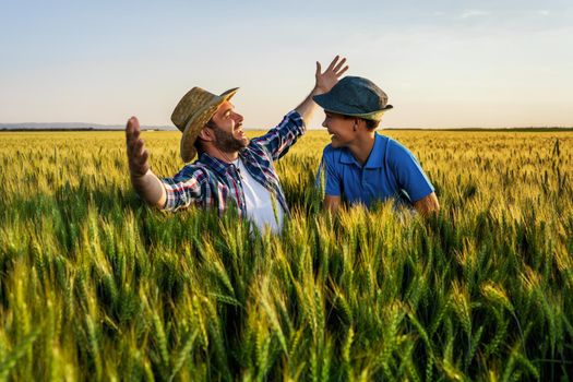 Father and son are standing in their growing wheat field. Father is teaching his successor about agriculture.