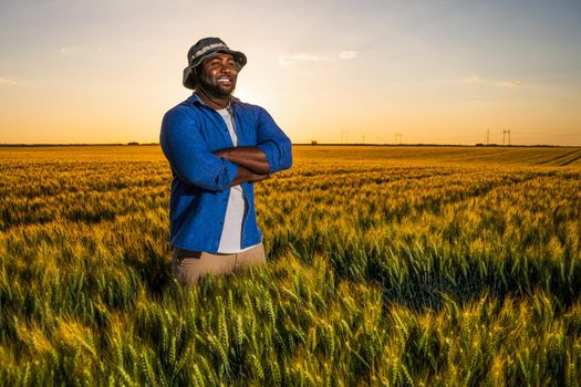 Farmer is standing in his growing wheat field. He is satisfied after successful sowing.