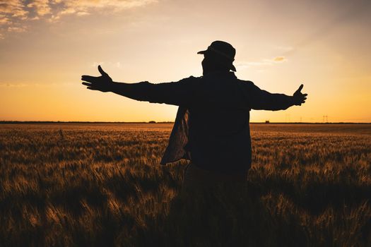 Farmer is standing in his growing wheat field. He is satisfied after successful sowing.