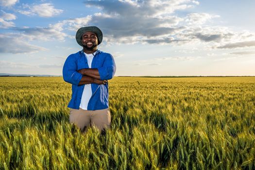 Farmer is standing in his growing wheat field. He is satisfied after successful sowing.