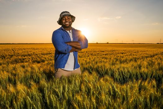 Farmer is standing in his growing wheat field. He is satisfied after successful sowing.