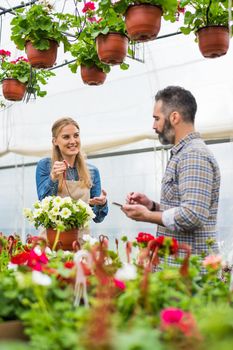 Happy couple is owning small business greenhouse store. They are examining plants.