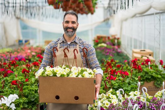 Adult man is owning small business greenhouse store.