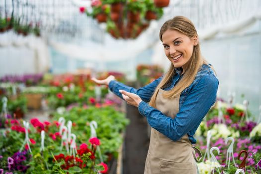 Woman is owning small business greenhouse store. Female entrepreneur.