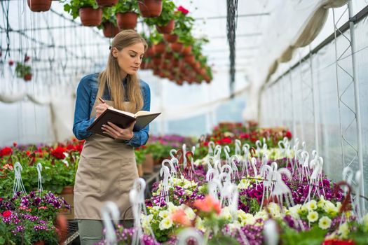 Woman is working in small business greenhouse store. She is examining plants. Female entrepreneur.
