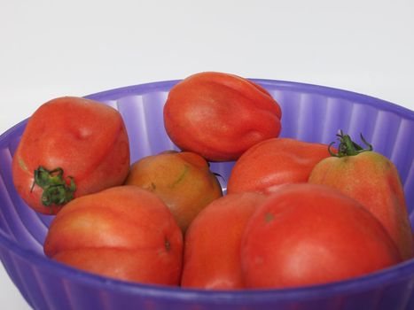 tomatoes (scientific name Solanum lycopersicum) vegetables vegetarian food
