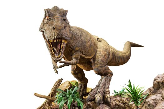 Tyrannosaurus rex . T-rex is walking , growling and open mouth on rock . White isolated background . Embedded clipping paths .