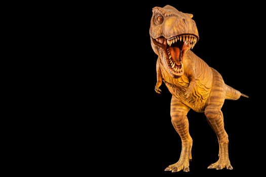 Tyrannosaurus rex ( T-rex ) is walking and open mouth and copy space on left site . Front view . Black isolated background . Dinosaur in jurassic peroid . Embedded clipping paths .