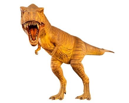 Tyrannosaurus rex ( T-rex ) is walking and open mouth . Front view . White isolated background . Dinosaur in jurassic peroid . Embedded clipping paths .