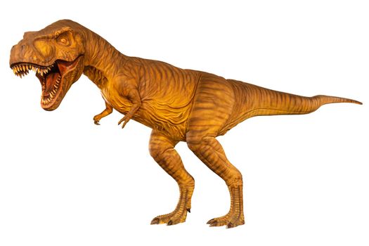 Tyrannosaurus rex ( T-rex ) is walking and open mouth . Side view . White isolated background . Dinosaur in jurassic peroid . Embedded clipping paths .