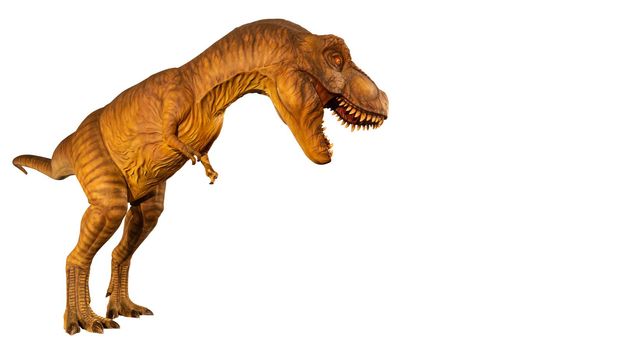Tyrannosaurus rex ( T-rex ) is walking and open mouth and copy space on right site . Side view . White isolated background . Dinosaur in jurassic peroid . Embedded clipping paths .