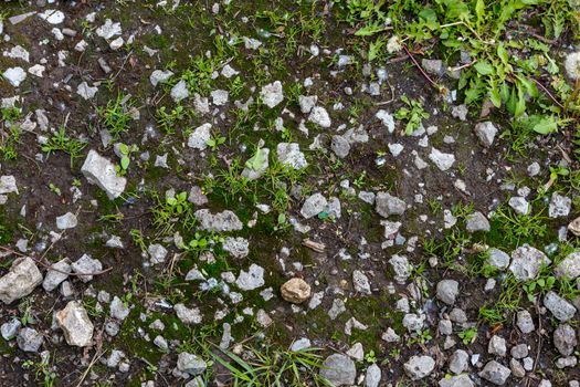 ground surface with slag stones, earth and grass sprouts - texture and background