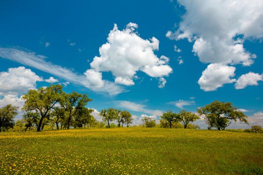 Beautiful landscape view of Portugal - Alentejo