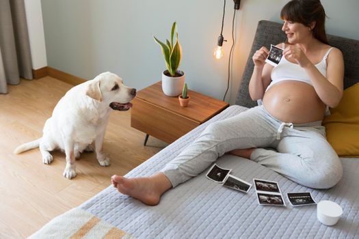 Pregnant woman telling the dog that he is going have a brother, prenatal health concept.