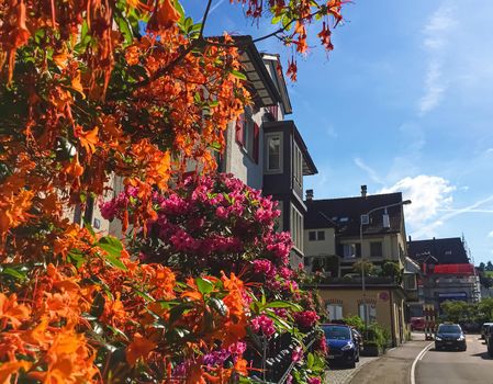 Richterswil, canton of Zurich, Switzerland circa June 2021: Blooming trees and house on street, Swiss architecture and real estate