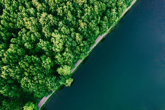Amazing green forest, water aerial top view, copy space. Mixed deciduous trees and turquoise lake surface. Countryside woodland or park. Drone shoot above scenic landscape, diagonal narrow coastline