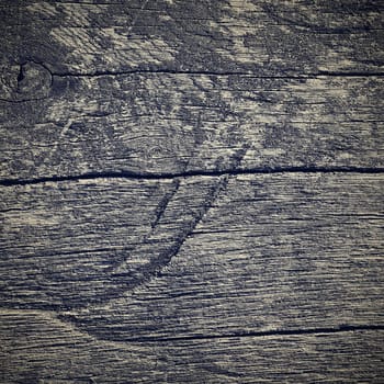 Old wooden background. Close up photo with wood texture for design.