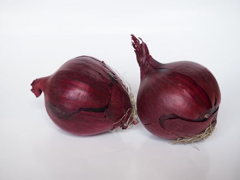 red onions (scientific name Allium cepa aka bulb onion or common onion) vegetables vegetarian food