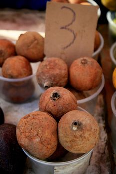 salvador, bahia, brazil - june 18, 2021: genipapo fruit is seen for sale at a free fair in the city of Salvador.