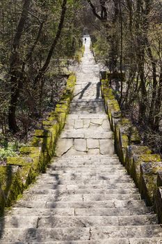 a stone staircase, overgrown with moss, leads down in the park.