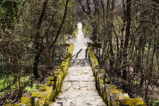 a stone staircase, overgrown with moss, leads down in the park.