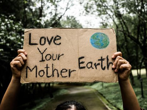 A female volunteer holding a nature conservation sign stands among the nature in the forest. The concept of World Environment Day.