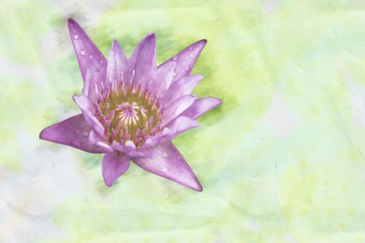  Pink lotus flower with leaves, seed head, bud (water lily, Indian lotus, sacred lotus, Egyptian lotus). Watercolor hand drawn painting.