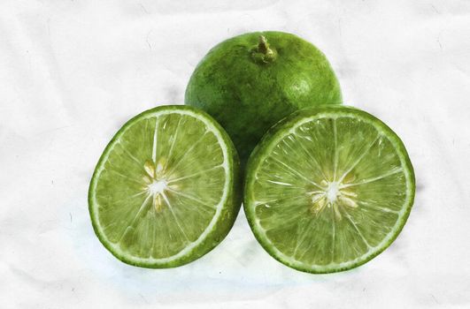 Lime whole and slice with leaves watercolor on white background