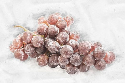 Hand drawn watercolor painting of fruit grapes 
