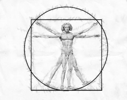 Vetruvian man, human anatomy study by Leonardo da Vinci .