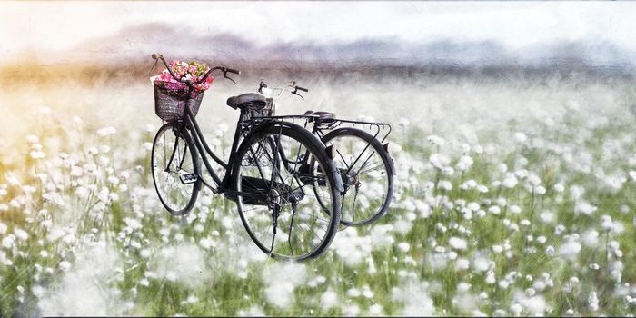 Watercolor hand-drawn spring landscape with bicycle
