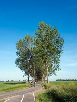 nijmegen, netherlands, 16 june 2021: girls ride bicycle on country road with high trees near nijmegen in holland under blue summer sky