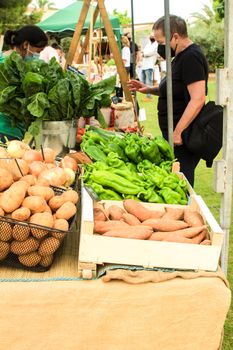 Elche, Alicante, Spain- June 20, 2021: People buying Fresh products for sale at an ecological and sustainable market held in the countryside of Elche