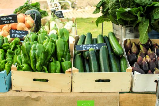 Elche, Alicante, Spain- January 26, 2021: Fresh products for sale at an ecological and sustainable market held in the countryside of Elche