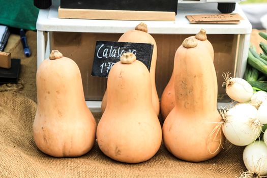 Elche, Alicante, Spain- January 26, 2021: Fresh pumpkins for sale at an ecological and sustainable market held in the countryside of Elche