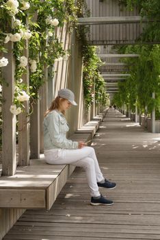 Woman in casual jeans clothes sitting on the wooden bench using phone in green park alley, walls with white roses