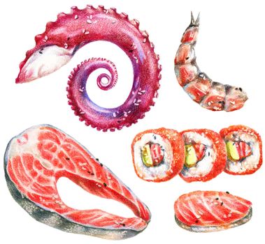 Color pencils realistic illustration of seafood - salmon steak, sushi, rolls, octopus tentacle and shrimp. Hand-drawn objects on white background.