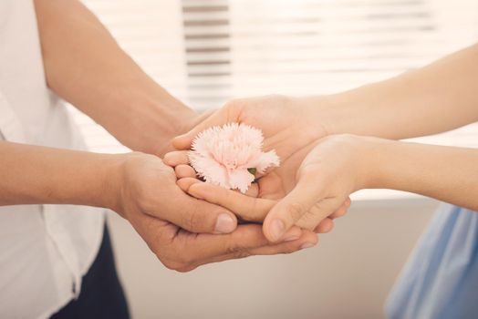 Couple in love. Man and woman hand over pink flower