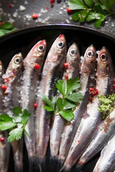 Presentation of a dish of raw anchovies on black background